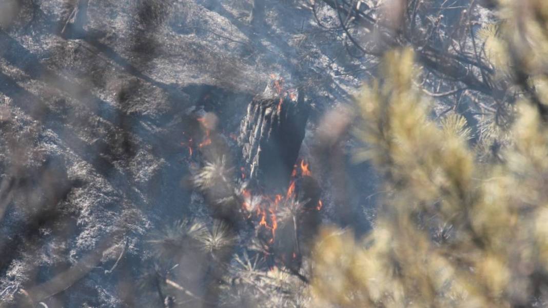 Bolu'da orman yangını 2'nci gününde! Alevler 100 hektarlık alana yayıldı 5